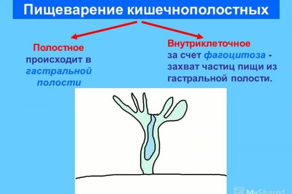 Кракен маркет даркнет только через стор