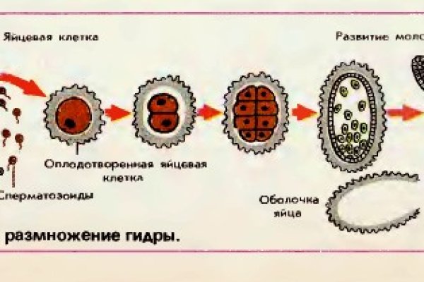 Кракен маркетплейс ссылка на сайт